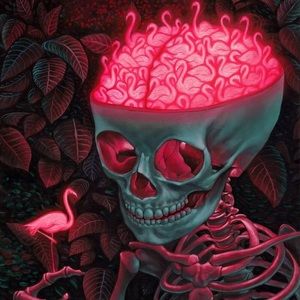 Meet your Posher, Phillip